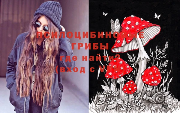 apvp Заволжск