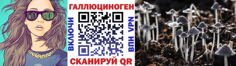 Псилоцибиновые грибы Psilocybine cubensis  Батайск 