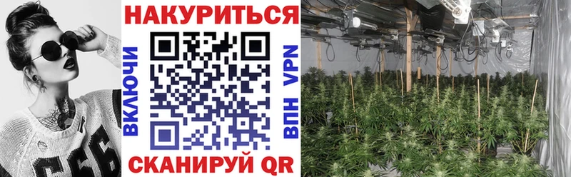что такое наркотик  блэк спрут ссылка  Канабис ГИДРОПОН  Батайск 